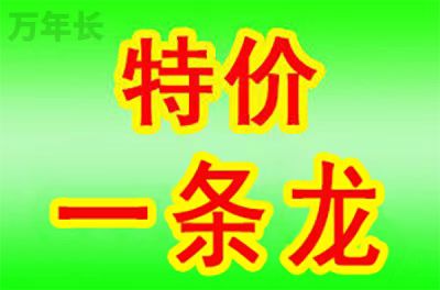 蚌埠安徽省蚌埠市龙子湖区知名墓地在哪里？